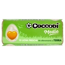 Coccodì Medie 10 Uova Fresche da allevamento a Terra